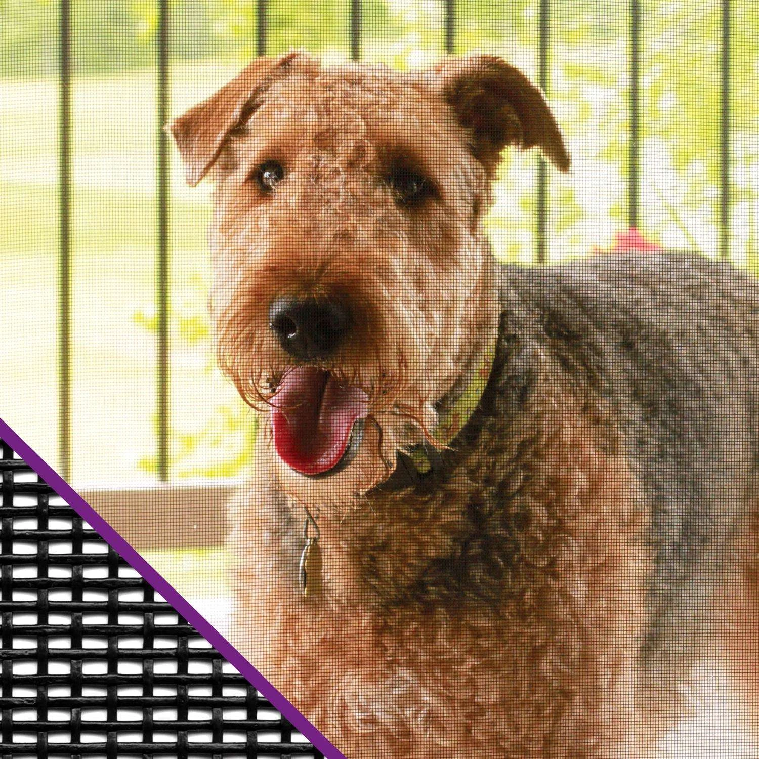 Saint-Gobain ADFORS Pet Resistant 36 In. W X 7 Ft. L Charcoal Polyester Pet Screen Cloth 4 Saint-Gobain ADFORS Pet Resistant 36 In. W X 7 Ft. L Charcoal Polyester Pet Screen Cloth - Image 2