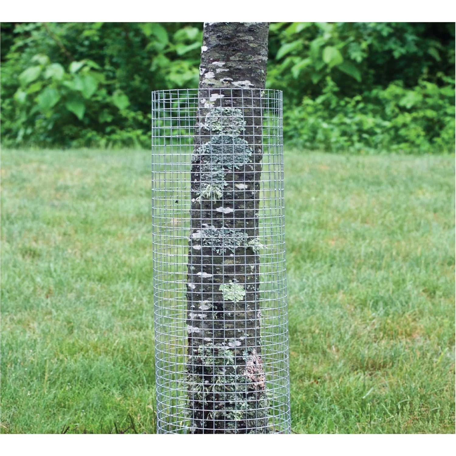 Garden Craft 24 In. H X 5 Ft. L Galvanized Steel Hardware Cloth 1/2 In. 7 Garden Craft 24 In. H X 5 Ft. L Galvanized Steel Hardware Cloth 1/2 In. - Image 5