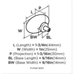 Amerock Glacio Oval Cabinet Knob 1-3/16 In. Satin Nickel 1 Pk -Supply Tools Market d90e8093 6a70 4000 9ff2 3ff9f0a78386